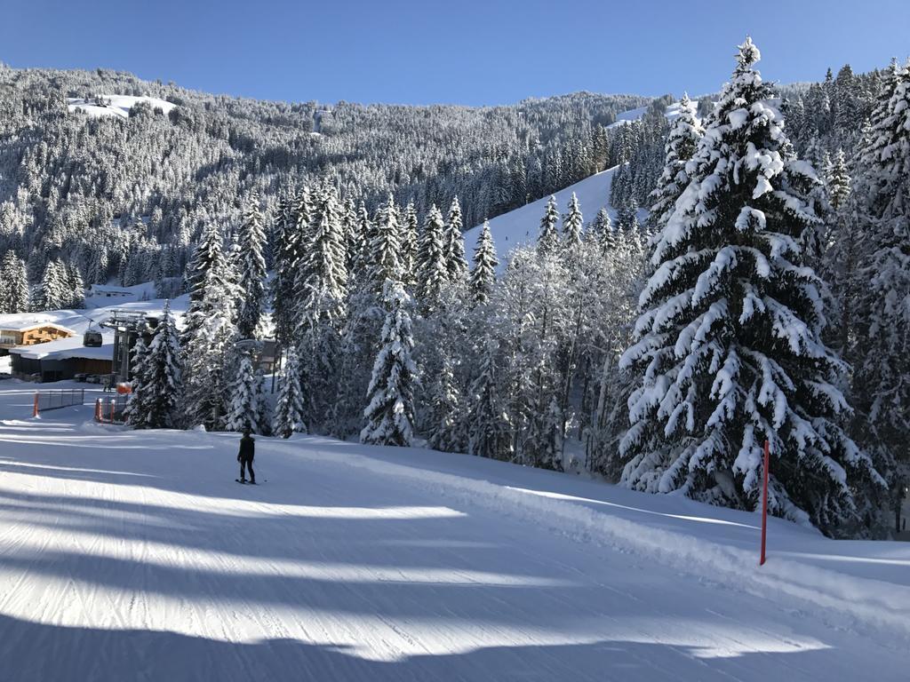Lejlighed Christina Saalbach-Hinterglemm